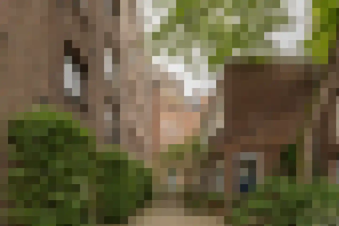Gietersstraat 9 A Amsterdam thumbnail 21