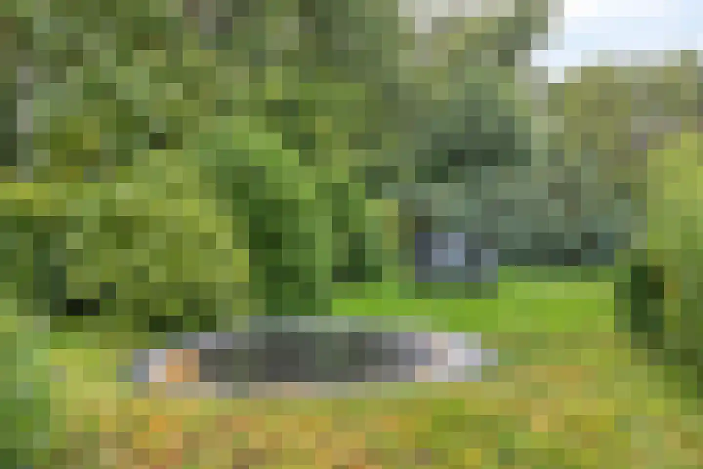 Gieterweg 1 Gasselte thumbnail 10
