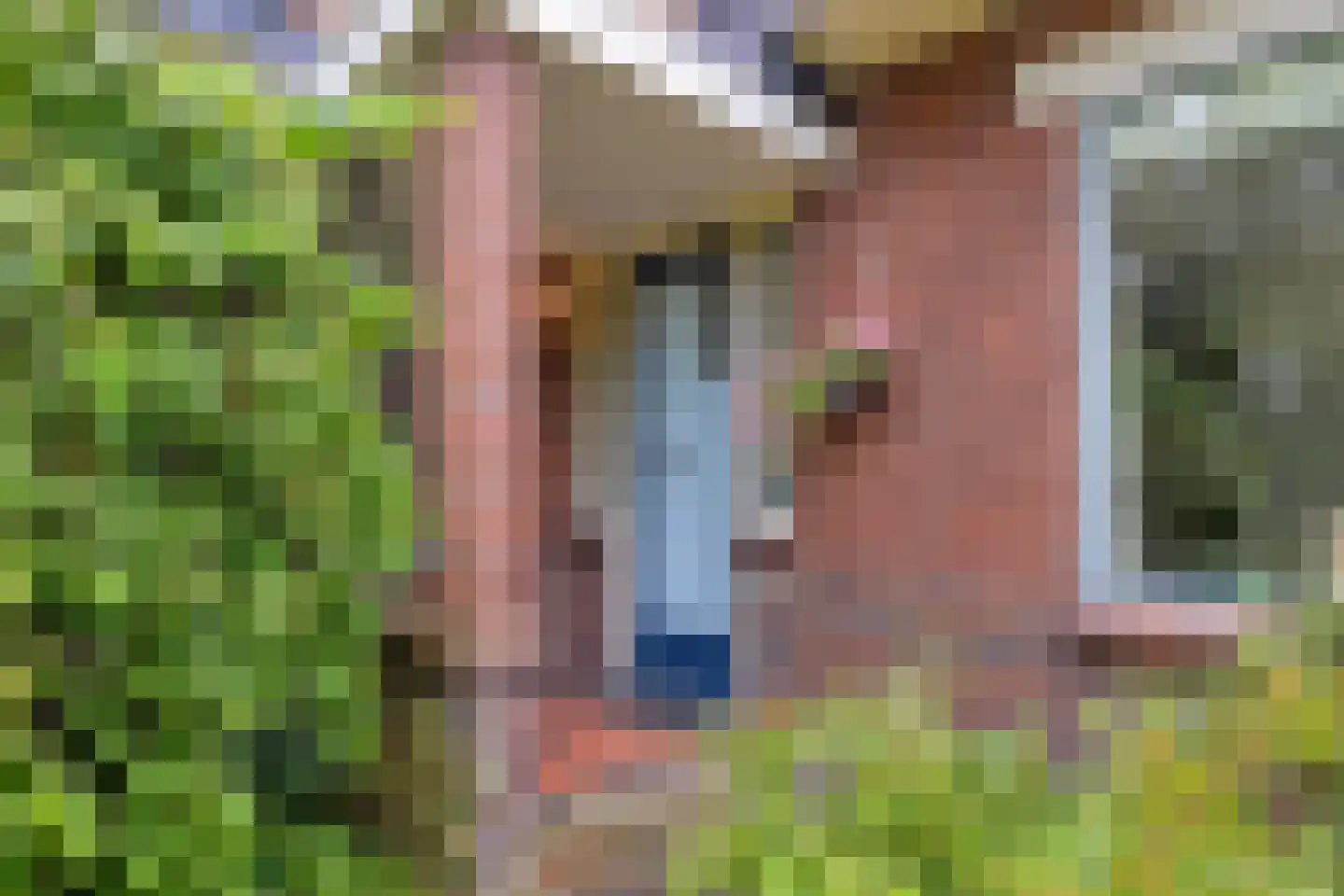 Gieterweg 1 Gasselte thumbnail 11