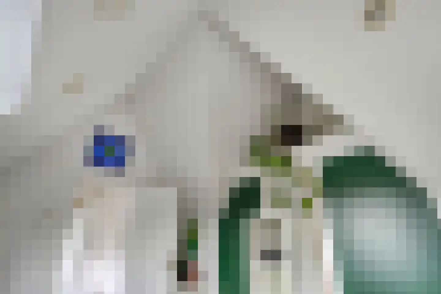Gieterweg 1 Gasselte thumbnail 50