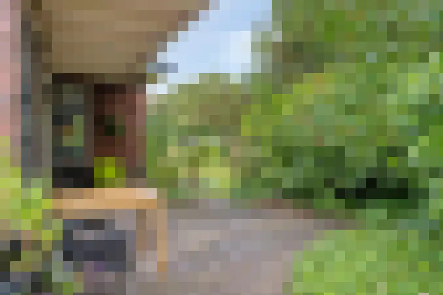 Gieterweg 1 Gasselte thumbnail 62