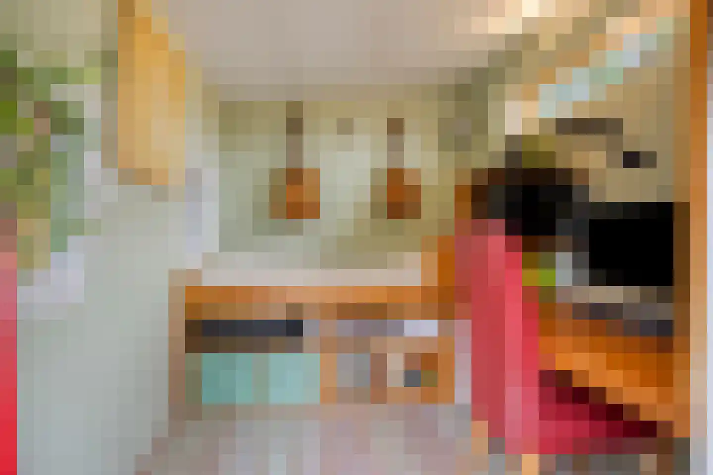 Gieterweg 1 Gasselte thumbnail 65