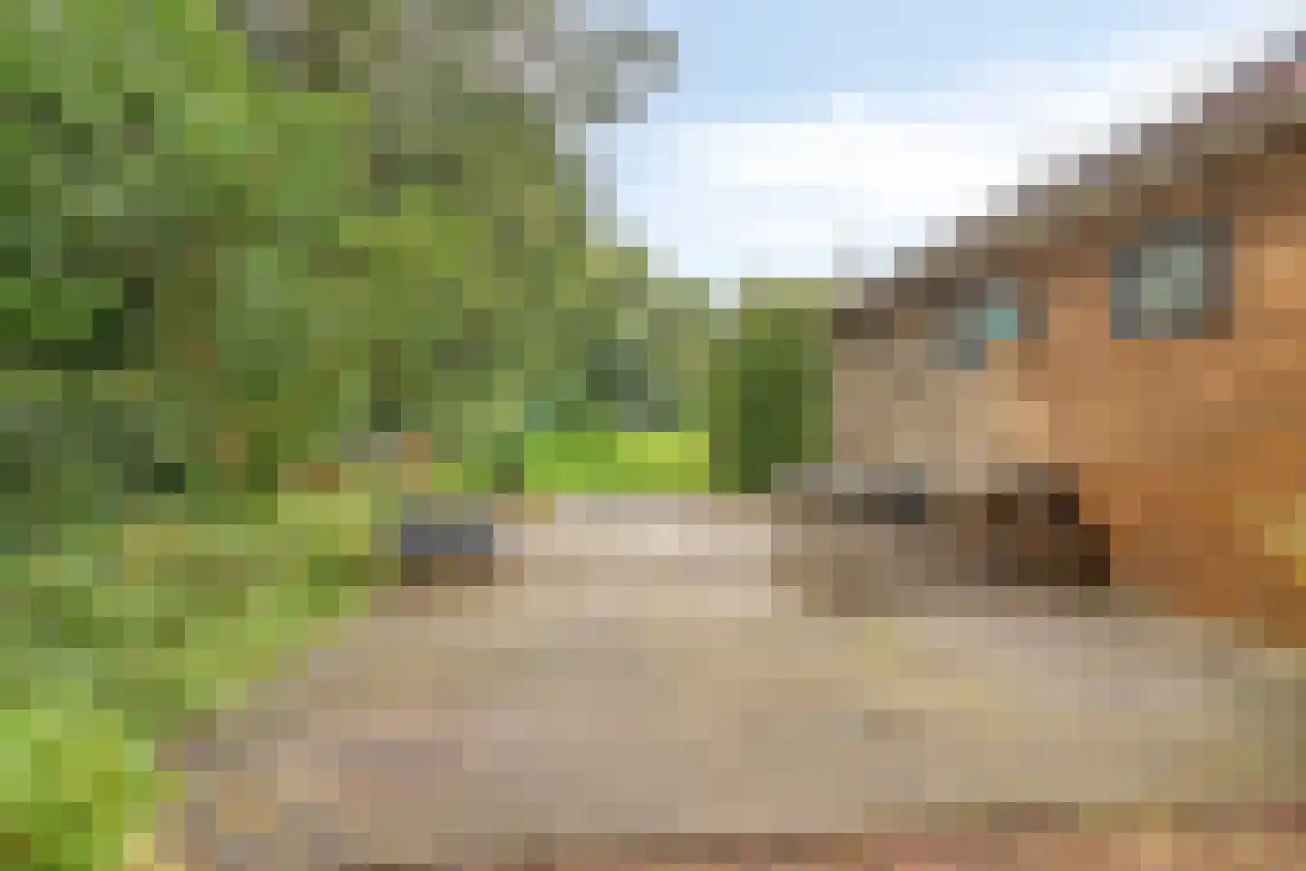 Gieterweg 1 Gasselte thumbnail 69