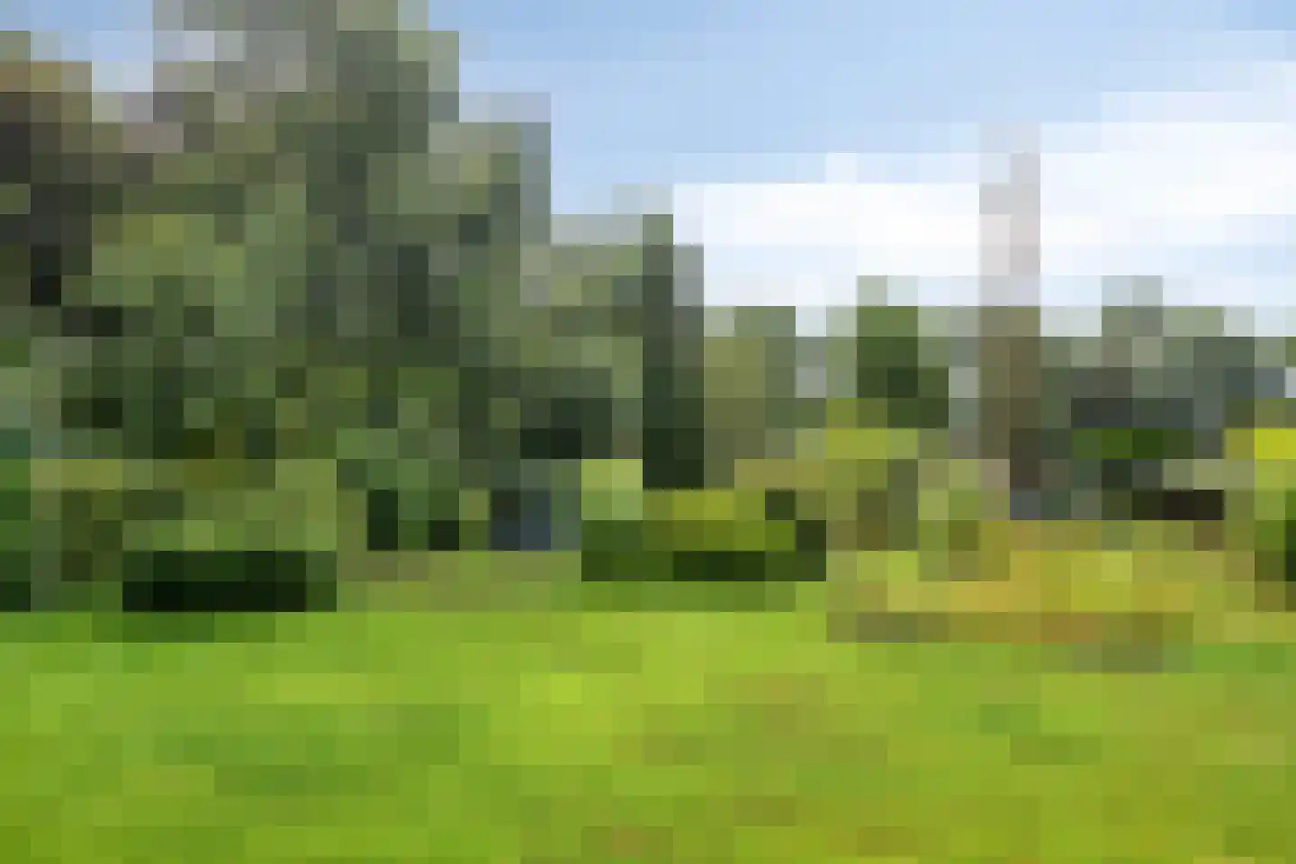Gieterweg 1 Gasselte thumbnail 73
