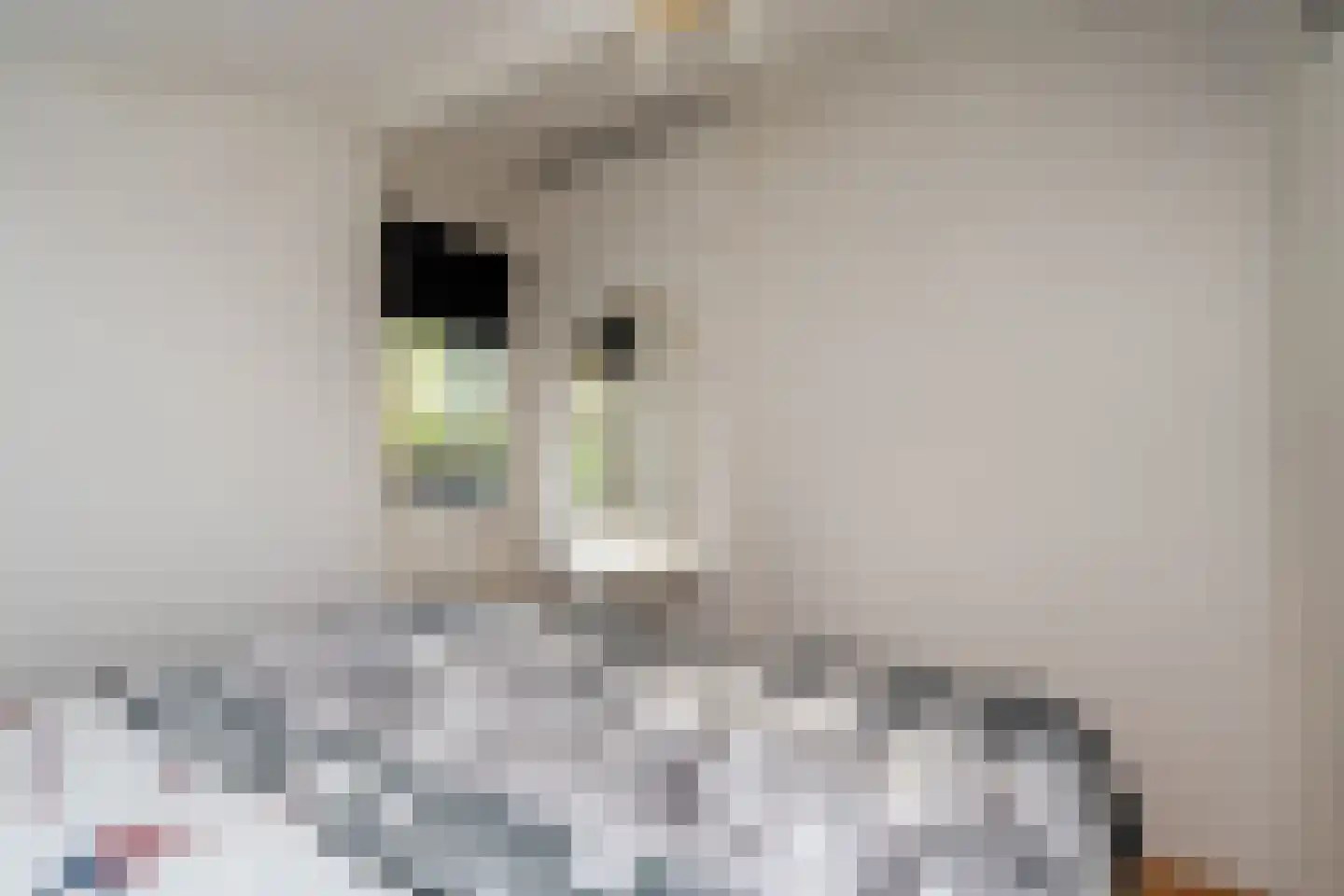 Gieterweg 13 22 Gasselte thumbnail 11