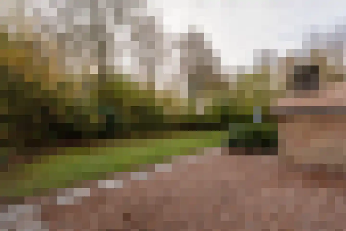 Gieterweg 13 22 Gasselte thumbnail 19