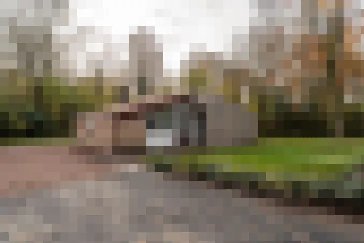 Gieterweg 13 22 Gasselte thumbnail 21