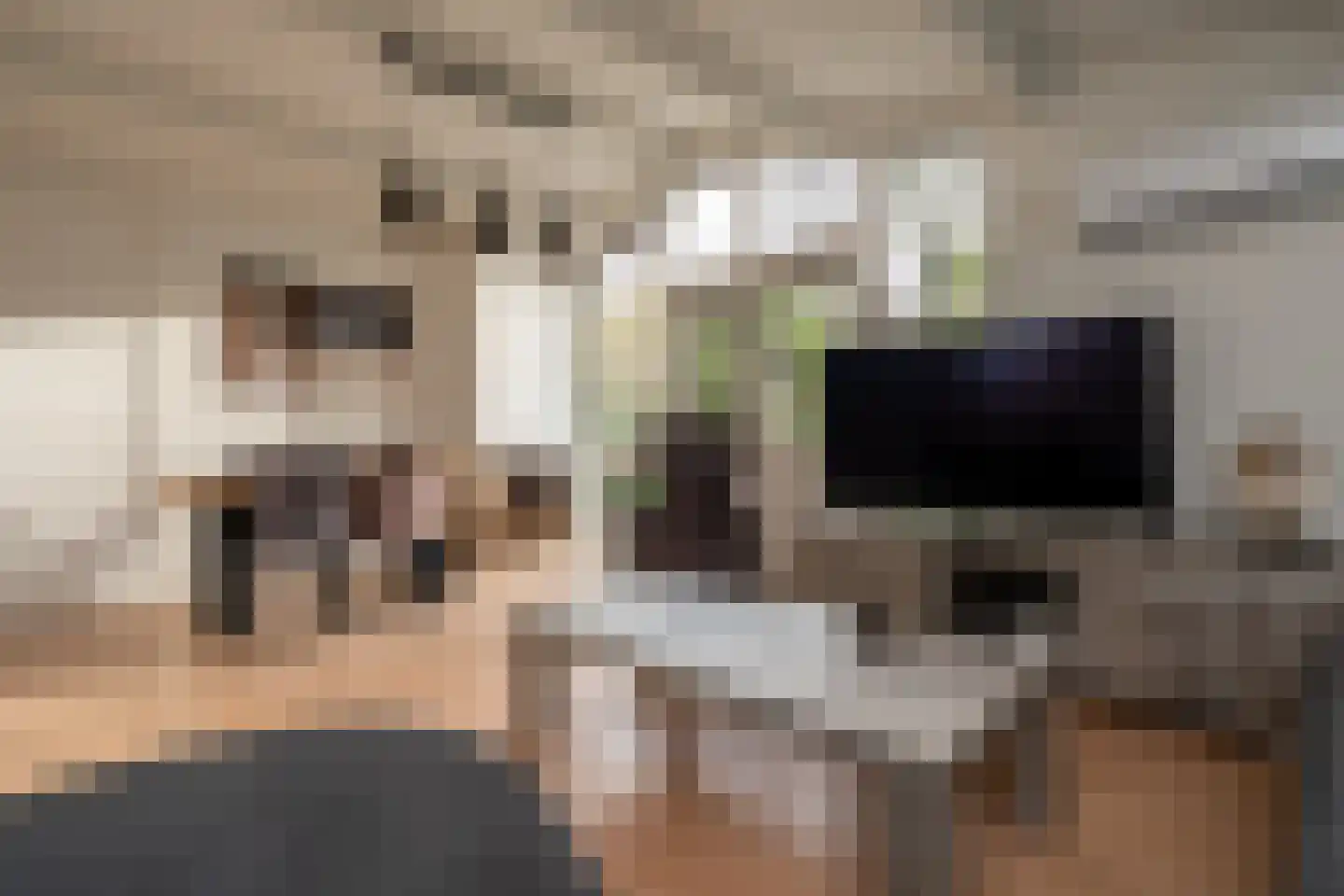 Gieterweg 13 22 Gasselte thumbnail 4