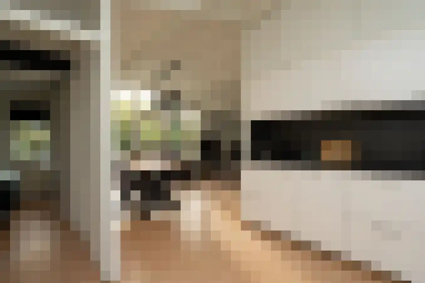 Gieterweg 13 22 Gasselte thumbnail 8
