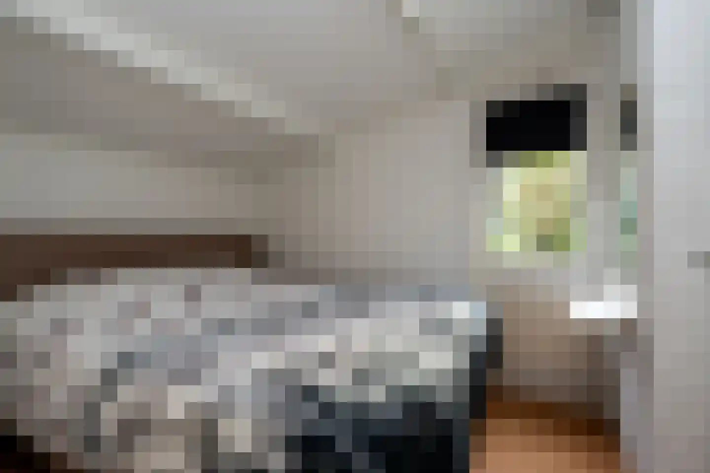 Gieterweg 13 22 Gasselte thumbnail 9