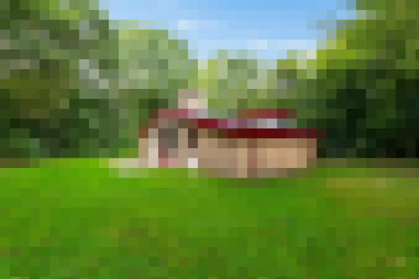 Gieterweg 13 28 Gasselte thumbnail 23
