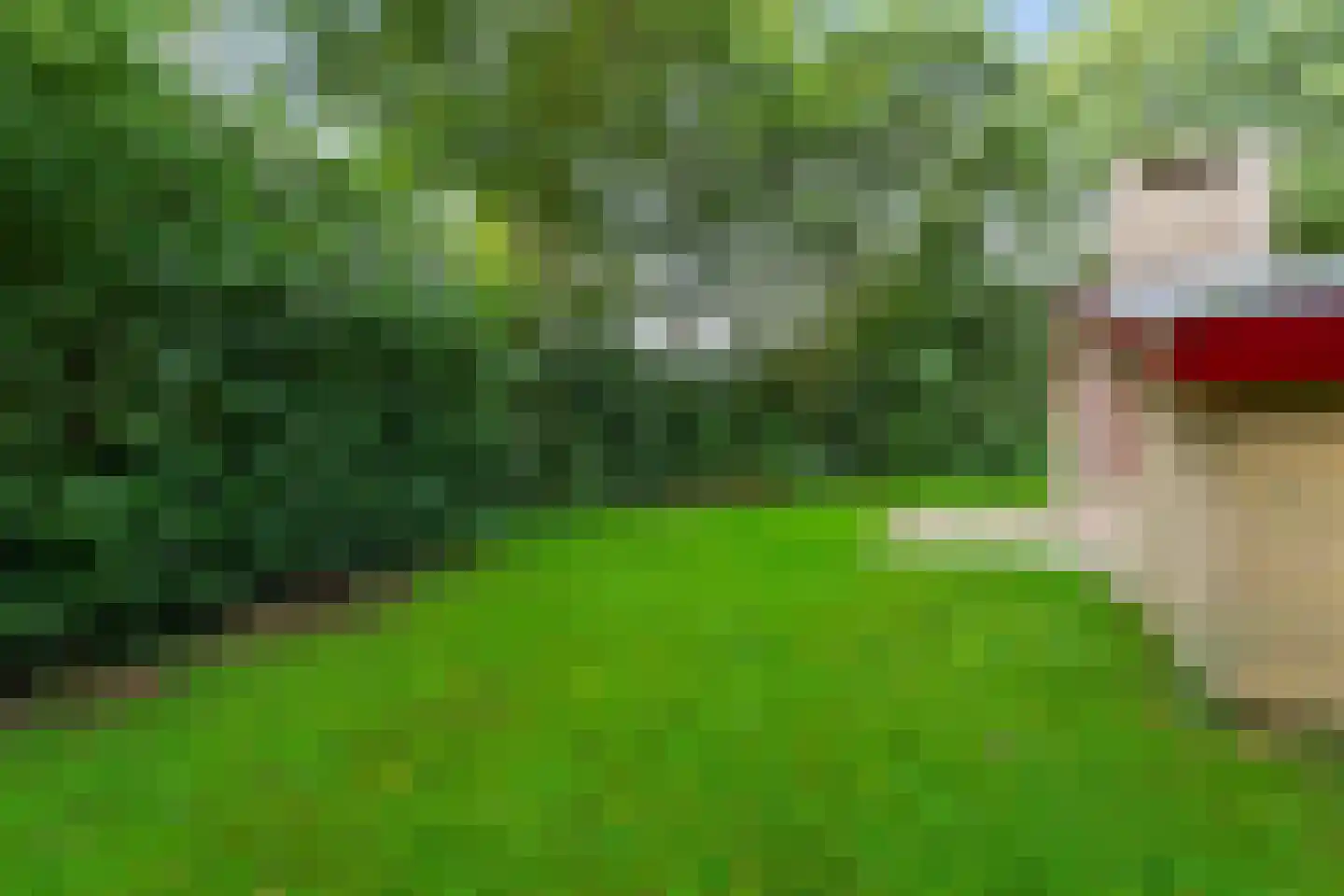 Gieterweg 13 28 Gasselte thumbnail 24