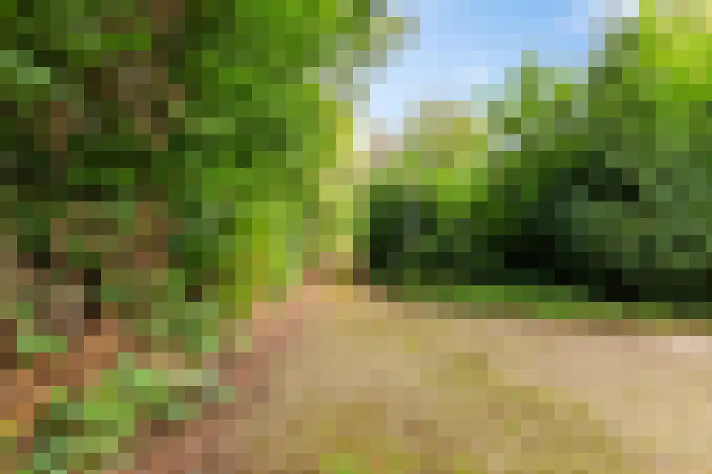 Gieterweg 13 28 Gasselte thumbnail 26