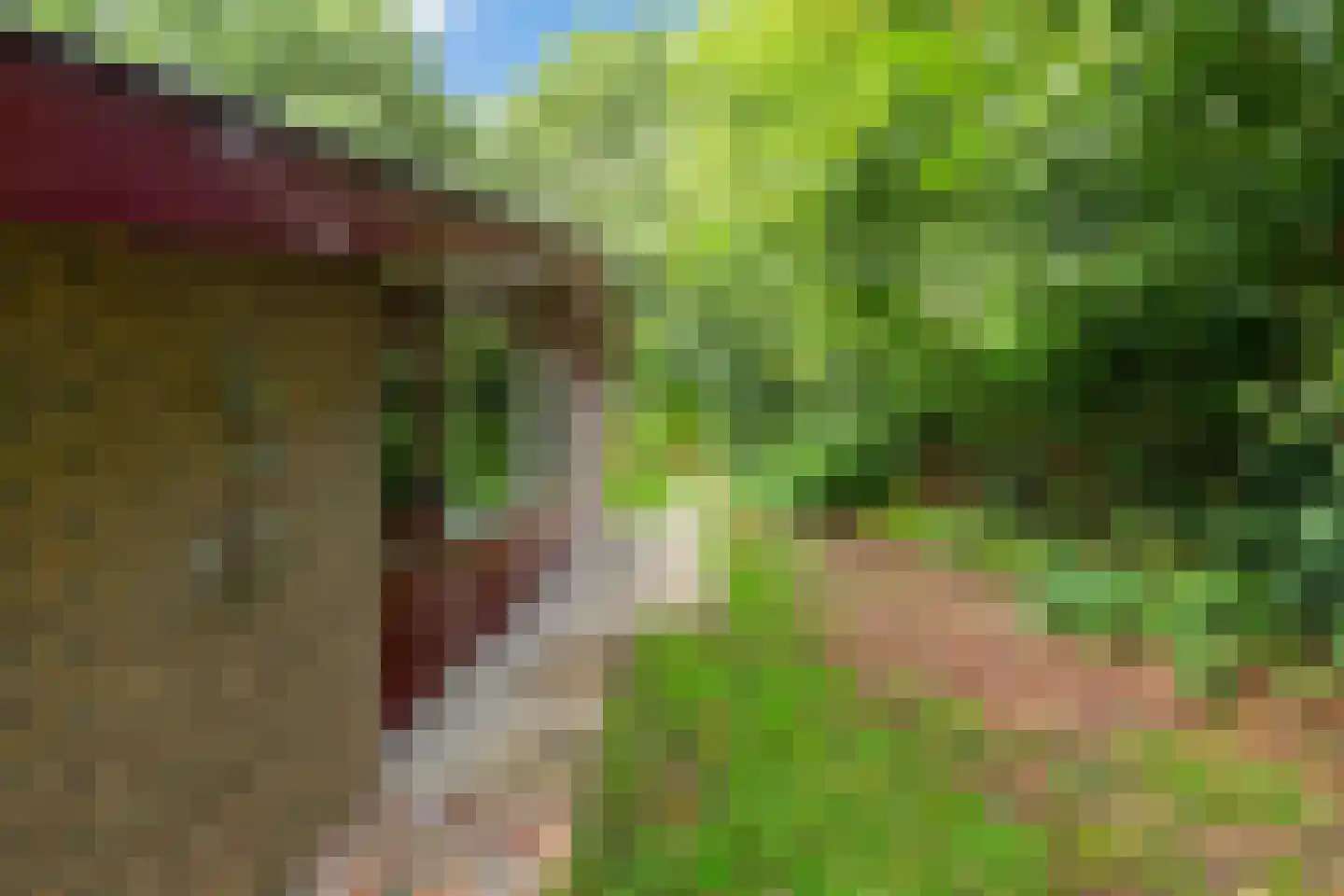 Gieterweg 13 28 Gasselte thumbnail 27