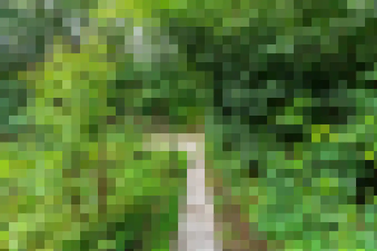 Gieterweg 13 28 Gasselte thumbnail 29
