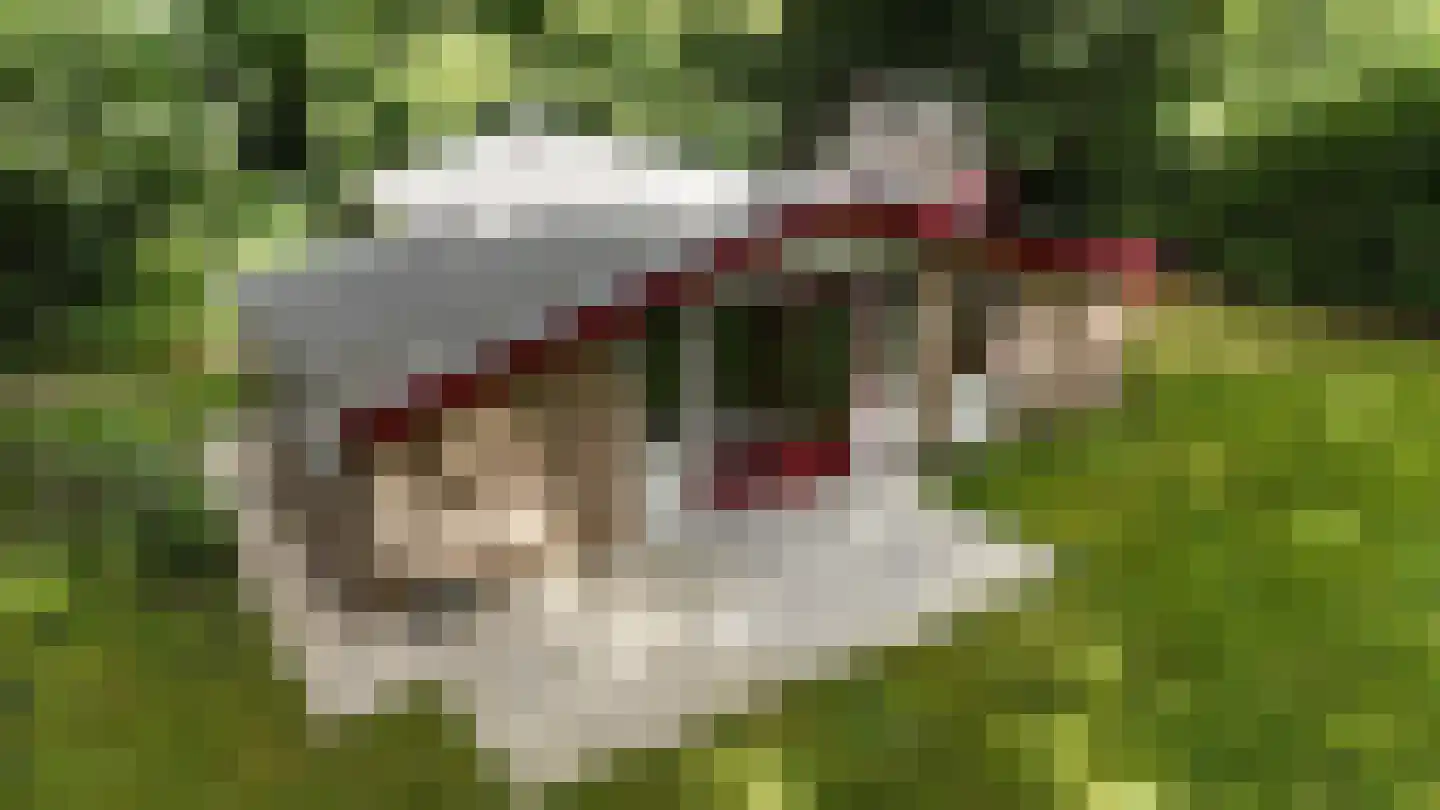 Gieterweg 13 28 Gasselte thumbnail 30