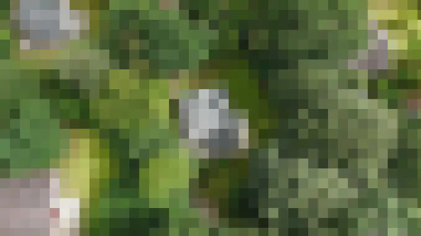 Gieterweg 13 28 Gasselte thumbnail 31