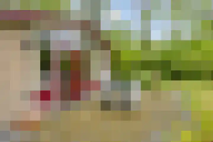 Gieterweg 13 34 Gasselte thumbnail 27