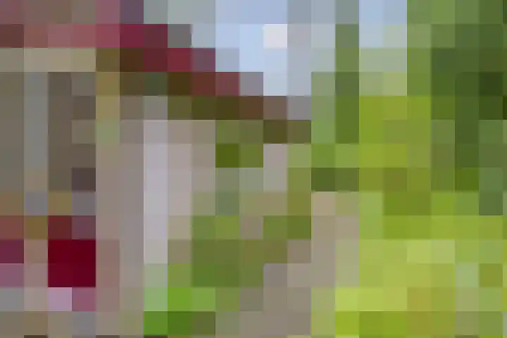 Gieterweg 13 34 Gasselte thumbnail 29