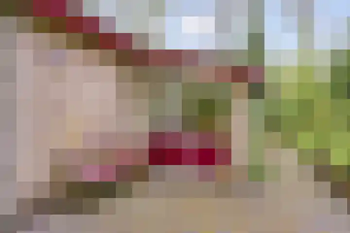 Gieterweg 13 34 Gasselte thumbnail 30