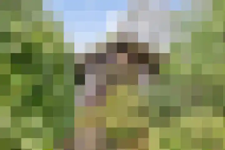 Gieterweg 13 34 Gasselte thumbnail 32