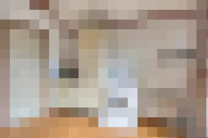 Gieterweg 13 34 Gasselte thumbnail 36