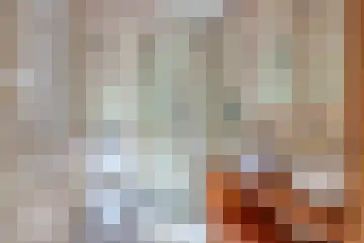Gieterweg 13 34 Gasselte thumbnail 43