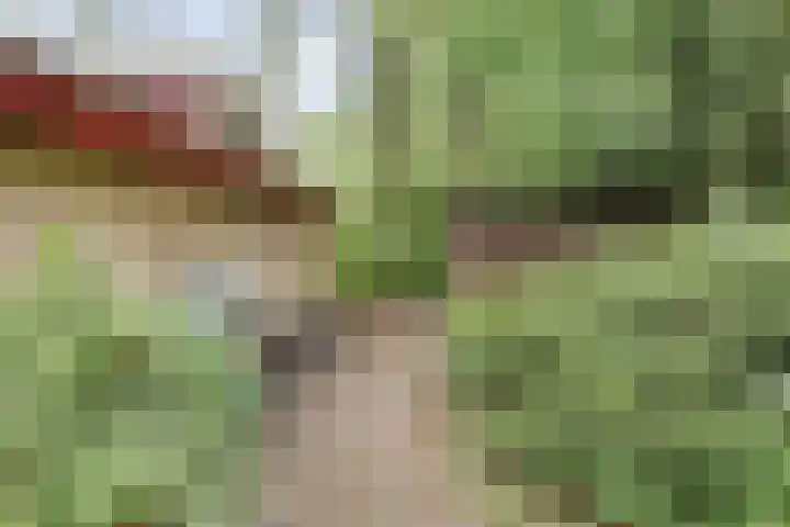 Gieterweg 13 34 Gasselte thumbnail 45