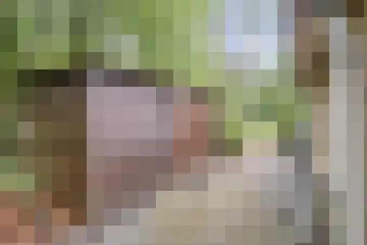 Gieterweg 13 34 Gasselte thumbnail 47