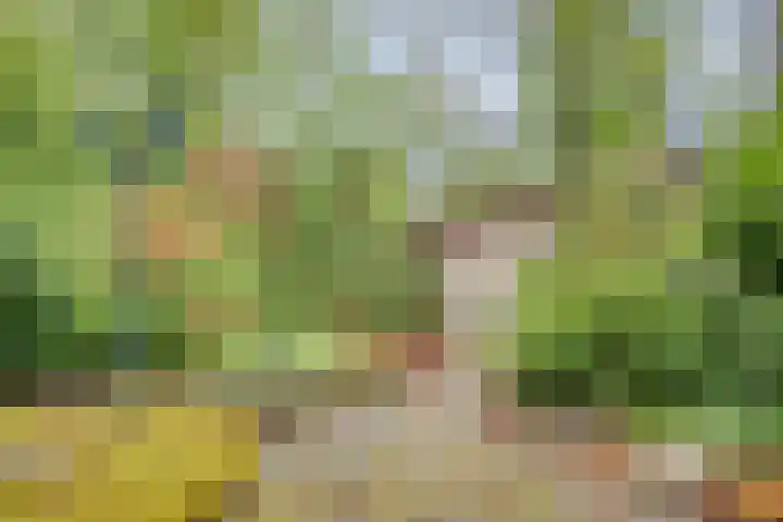 Gieterweg 13 34 Gasselte thumbnail 49