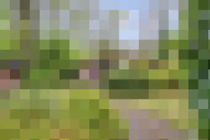 Gieterweg 13 34 Gasselte thumbnail 50