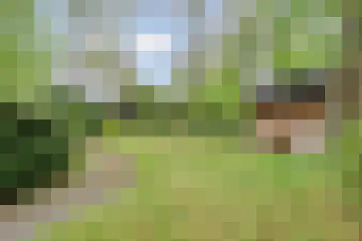 Gieterweg 13 34 Gasselte thumbnail 51