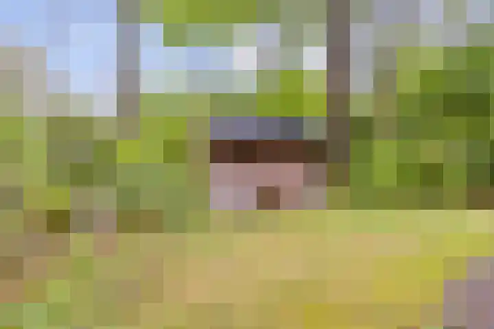 Gieterweg 13 34 Gasselte thumbnail 52