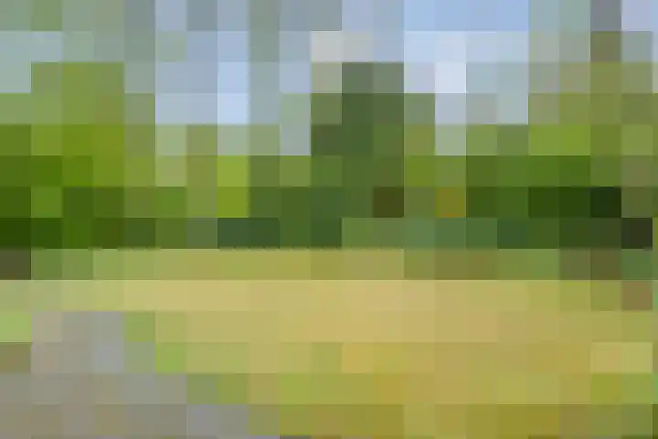 Gieterweg 13 34 Gasselte thumbnail 53