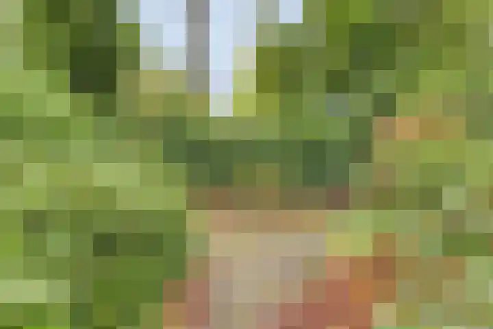 Gieterweg 13 34 Gasselte thumbnail 54
