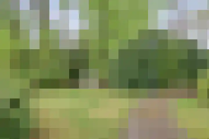 Gieterweg 13 34 Gasselte thumbnail 55