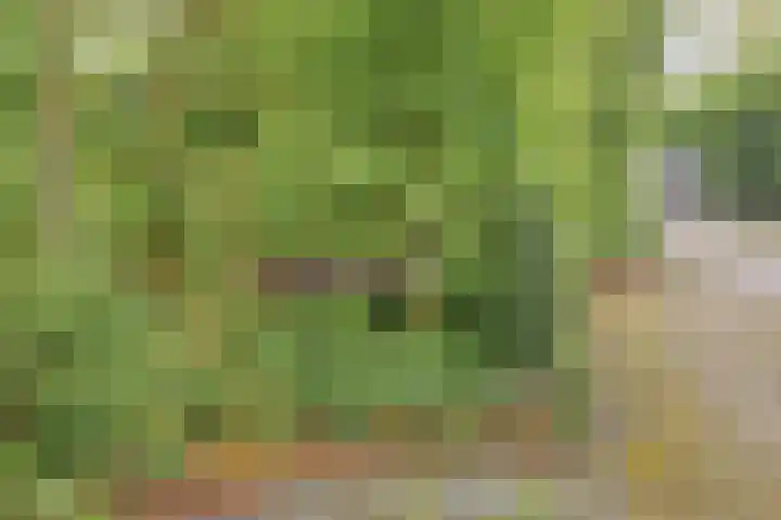 Gieterweg 13 34 Gasselte thumbnail 56