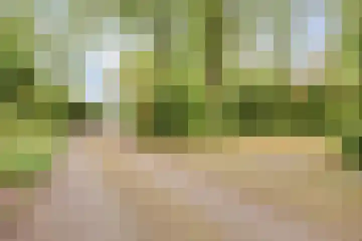Gieterweg 13 34 Gasselte thumbnail 57
