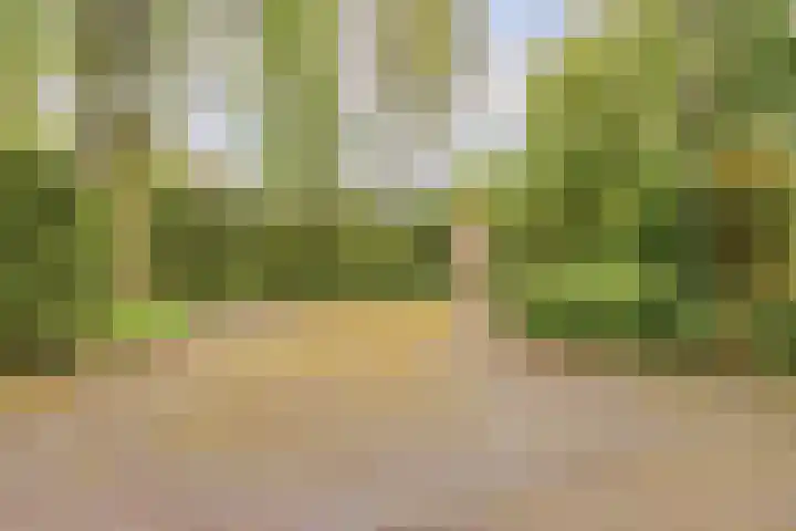 Gieterweg 13 34 Gasselte thumbnail 58