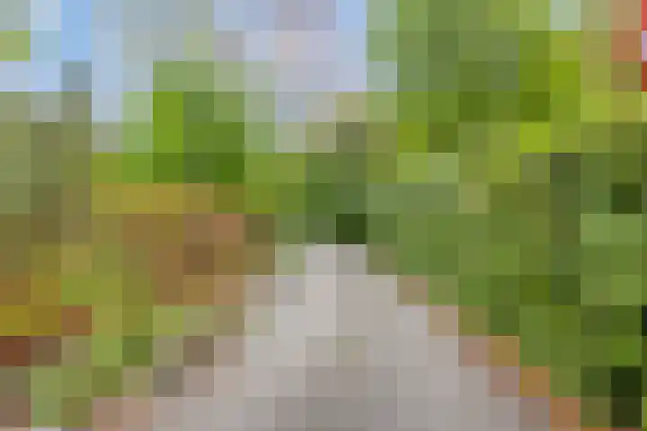 Gieterweg 13 34 Gasselte thumbnail 59