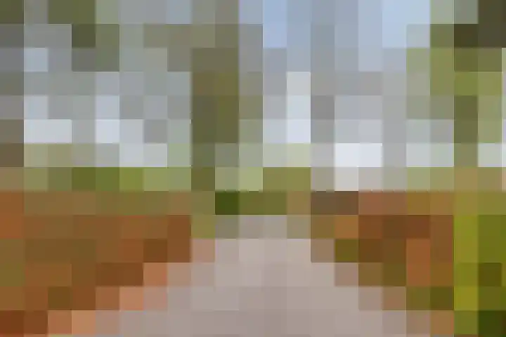 Gieterweg 13 34 Gasselte thumbnail 60