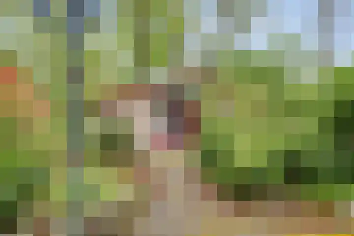Gieterweg 13 34 Gasselte thumbnail 8