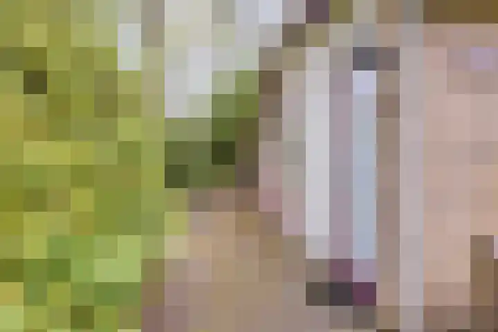 Gieterweg 13 34 Gasselte thumbnail 9