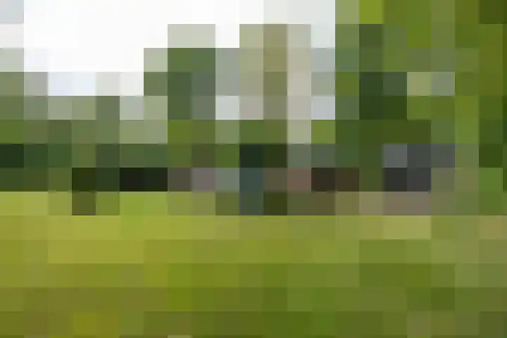 Gieterweg 13 47 Gasselte thumbnail 10