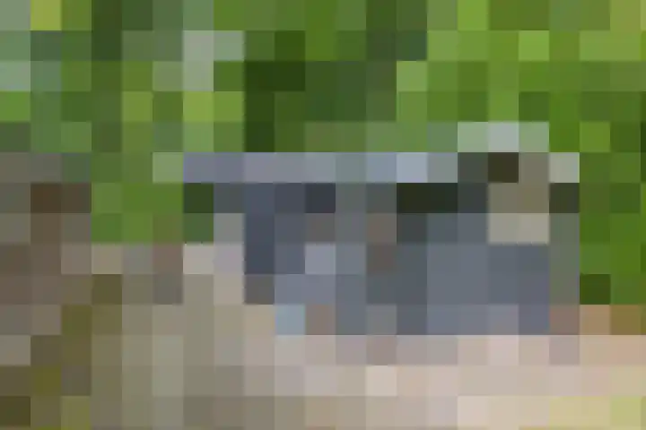 Gieterweg 13 47 Gasselte thumbnail 11
