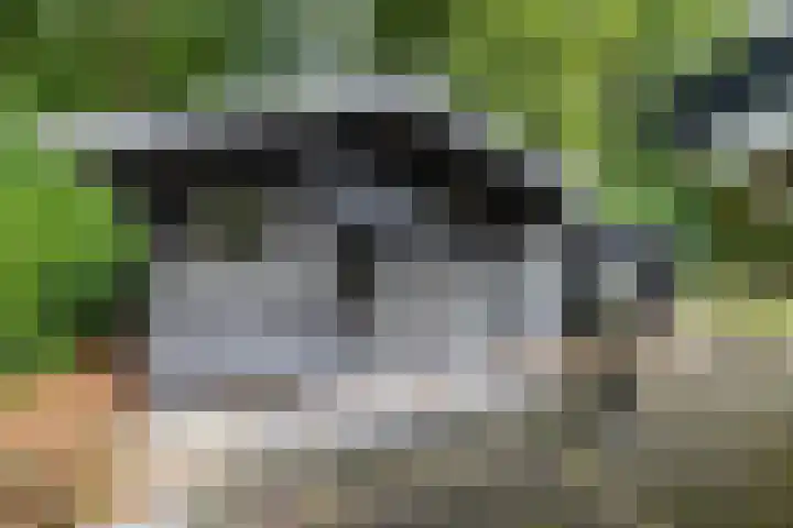 Gieterweg 13 47 Gasselte thumbnail 12