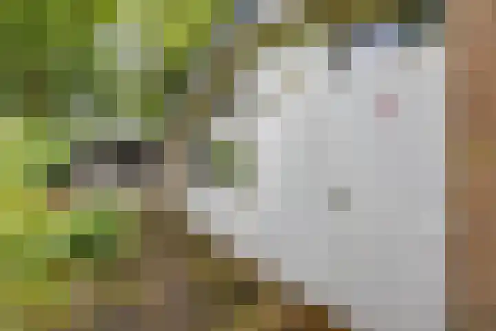 Gieterweg 13 47 Gasselte thumbnail 13