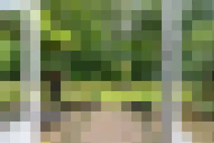 Gieterweg 13 47 Gasselte thumbnail 16