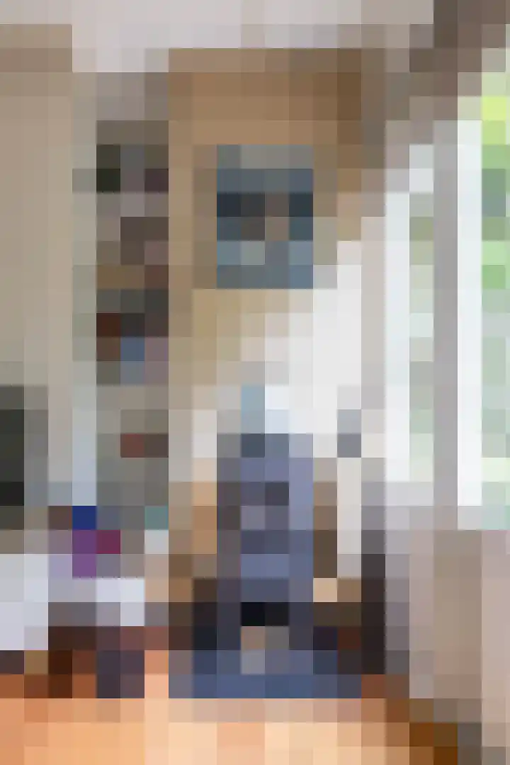 Gieterweg 13 47 Gasselte thumbnail 18