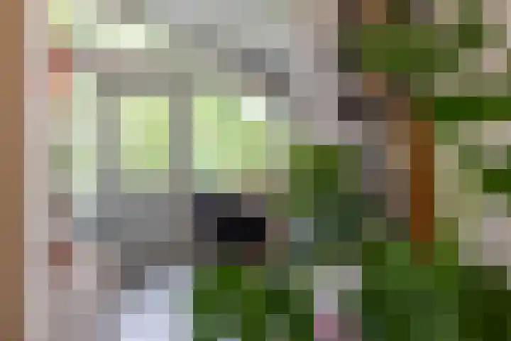 Gieterweg 13 47 Gasselte thumbnail 19
